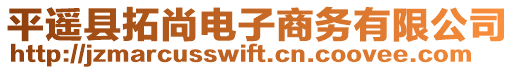 平遙縣拓尚電子商務有限公司