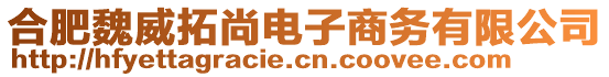 合肥魏威拓尚電子商務有限公司