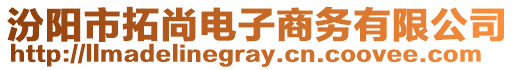 汾陽市拓尚電子商務(wù)有限公司