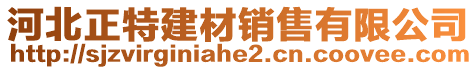 河北正特建材銷售有限公司