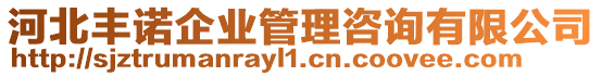 河北豐諾企業(yè)管理咨詢有限公司