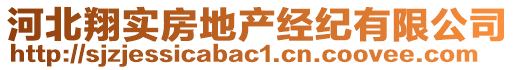 河北翔实房地产经纪有限公司