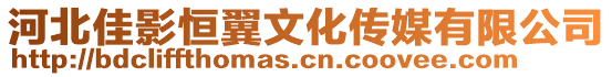 河北佳影恒翼文化传媒有限公司