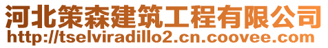 河北策森建筑工程有限公司