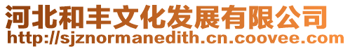 河北和豐文化發(fā)展有限公司