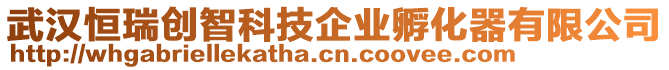 武漢恒瑞創(chuàng)智科技企業(yè)孵化器有限公司