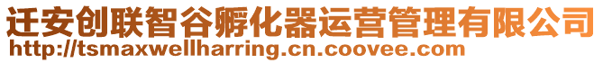 遷安創(chuàng)聯(lián)智谷孵化器運(yùn)營(yíng)管理有限公司