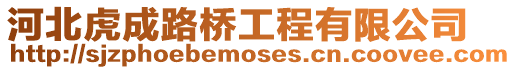 河北虎成路橋工程有限公司