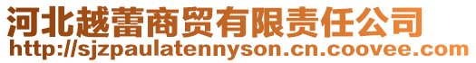 河北越蕾商貿有限責任公司