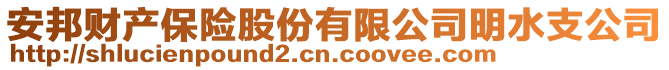 安邦财产保险股份有限公司明水支公司