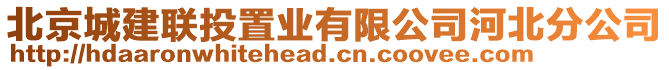 北京城建聯(lián)投置業(yè)有限公司河北分公司