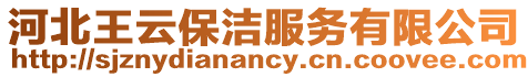 河北王云保洁服务有限公司