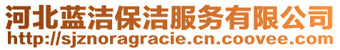 河北藍(lán)潔保潔服務(wù)有限公司