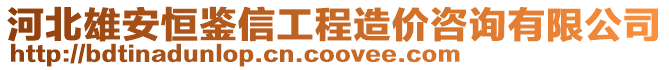 河北雄安恒鑒信工程造價(jià)咨詢有限公司