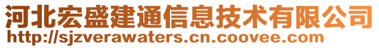 河北宏盛建通信息技术有限公司