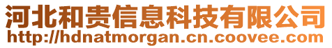 河北和贵信息科技有限公司