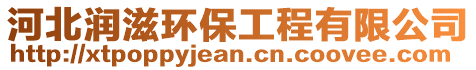 河北潤滋環(huán)保工程有限公司