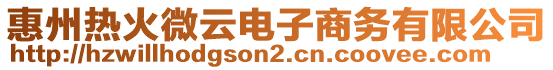 惠州热火微云电子商务有限公司