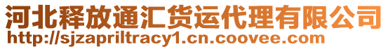 河北釋放通匯貨運(yùn)代理有限公司