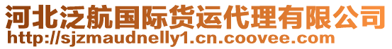 河北泛航國際貨運(yùn)代理有限公司