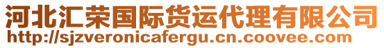 河北匯榮國際貨運代理有限公司