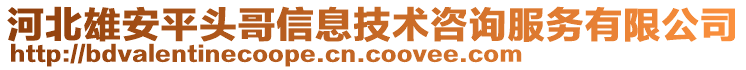 河北雄安平頭哥信息技術(shù)咨詢服務(wù)有限公司