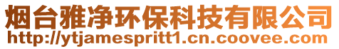 煙臺雅凈環(huán)保科技有限公司