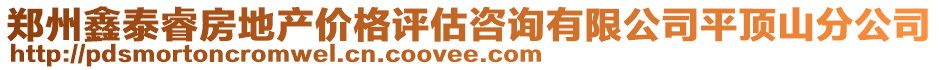 鄭州鑫泰睿房地產價格評估咨詢有限公司平頂山分公司