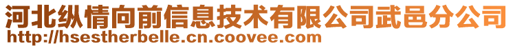 河北纵情向前信息技术有限公司武邑分公司