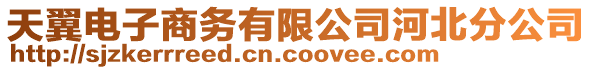 天翼電子商務有限公司河北分公司