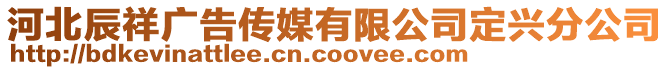 河北辰祥廣告?zhèn)髅接邢薰径ㄅd分公司