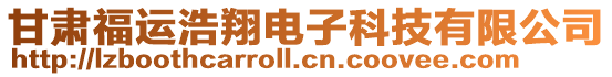 甘肅福運浩翔電子科技有限公司