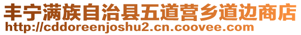 丰宁满族自治县五道营乡道边商店