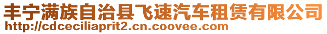 豐寧滿族自治縣飛速汽車租賃有限公司