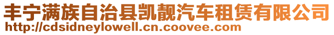 豐寧滿族自治縣凱靚汽車租賃有限公司