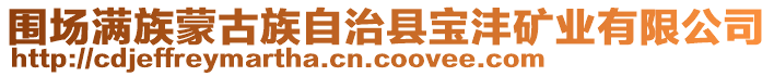 圍場滿族蒙古族自治縣寶灃礦業(yè)有限公司