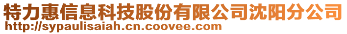 特力惠信息科技股份有限公司沈陽分公司