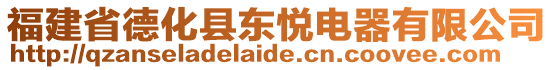 福建省德化縣東悅電器有限公司