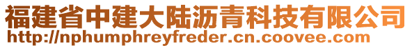 福建省中建大陸瀝青科技有限公司