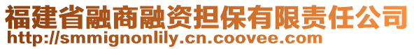 福建省融商融資擔(dān)保有限責(zé)任公司