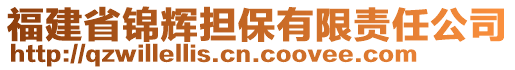 福建省錦輝擔(dān)保有限責(zé)任公司