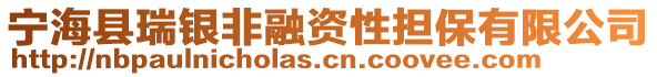 寧海縣瑞銀非融資性擔(dān)保有限公司