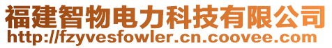 福建智物電力科技有限公司