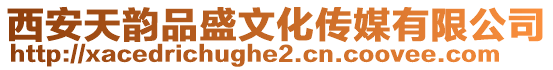 西安天韻品盛文化傳媒有限公司