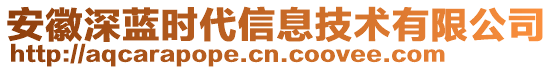 安徽深藍(lán)時代信息技術(shù)有限公司