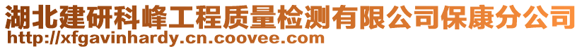 湖北建研科峰工程質(zhì)量檢測(cè)有限公司?？捣止? style=