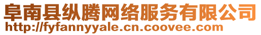 阜南县纵腾网络服务有限公司