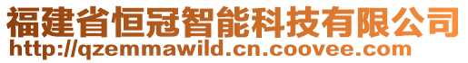 福建省恒冠智能科技有限公司