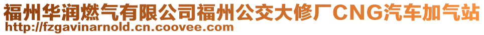 福州華潤(rùn)燃?xì)庥邢薰靖Ｖ莨淮笮迯SCNG汽車加氣站