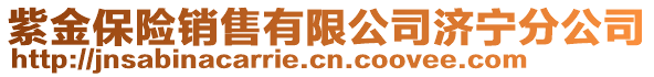 紫金保險銷售有限公司濟寧分公司